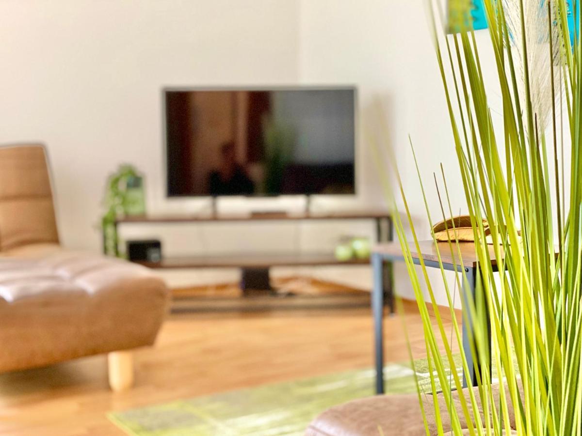 Elbflair Apartment Pirna Ngoại thất bức ảnh